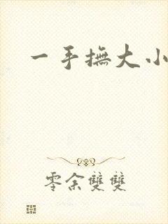 一手抚大小说