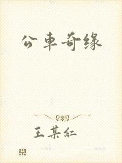 公车奇缘