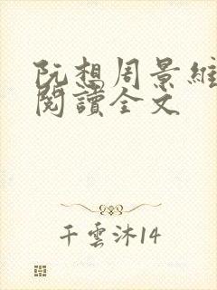 阮想周景维免费阅读全文