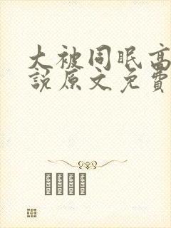 大被同眠高粱小说原文免费阅读