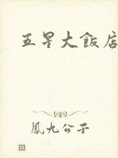 五星大饭店小说