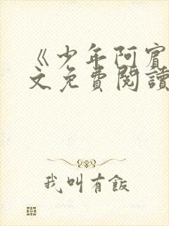 《少年阿宾》全文免费阅读