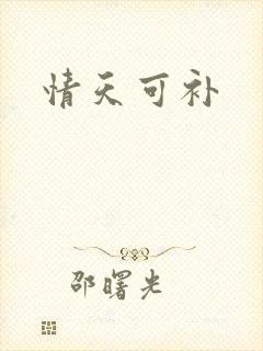 情天可补