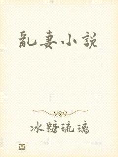 乱妻小说