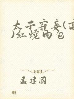 太子宠妾(高肉)红烧肉包