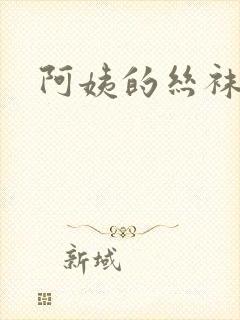 阿姨的丝袜小说