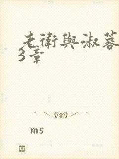 老卫与淑蓉第13章