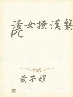 渣女撩汉系统NPC