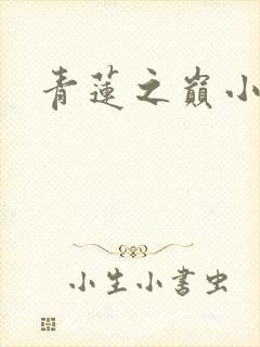 青莲之巅小说封面