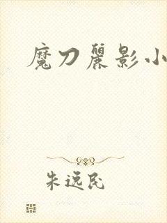 魔刀丽影小说