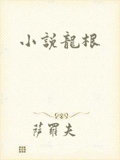 小说龙根