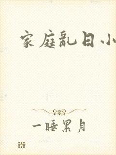 家庭乱日小说
