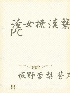 渣女撩汉系统NPC