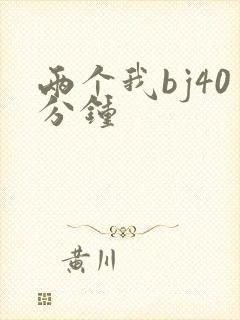 《两个我bj40分钟》小说封面
