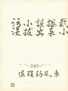 污小说总裁整夜没拔出来小说在线阅读