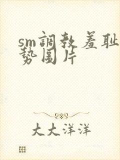 sm调教羞耻姿势图片