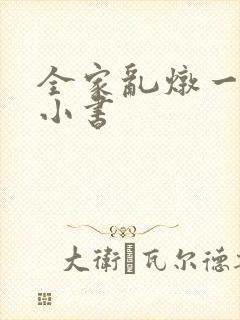 全家乱炖一锅烩小书