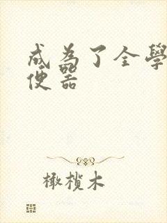 成为了全学校坐便器