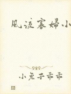 风流寡妇小说封面
