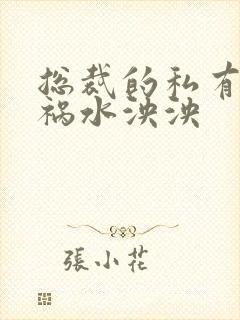 总裁的私有宝贝祸水泱泱