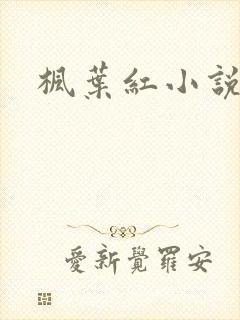 枫叶红小说