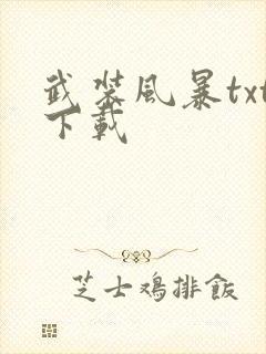 武装风暴txt下载