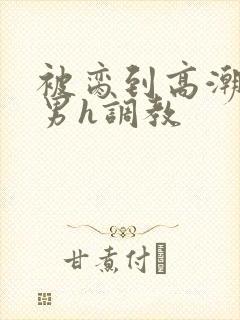 被脔到高潮的直男h调教