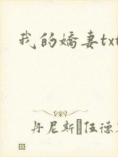 我的娇妻txt