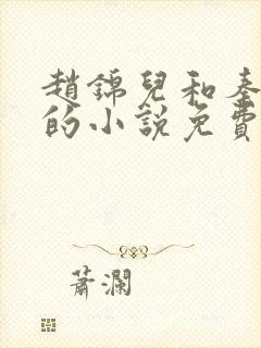 赵锦儿和秦慕修的小说免费阅读全文