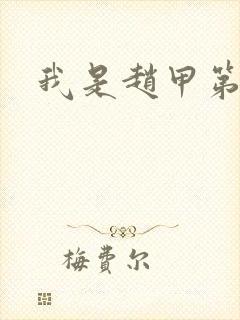 我是赵甲第小说