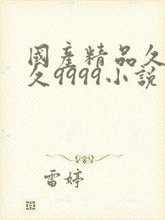 国产精品久久久久9999小说