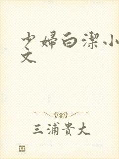 少妇白洁小说全文