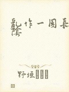 乱作一团长日光阴封面