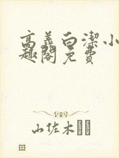 高义白洁小说笔趣阁免费