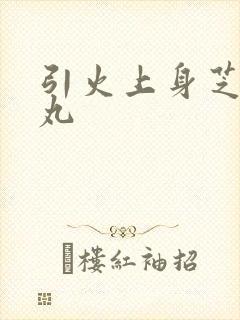 引火上身芝麻糖丸