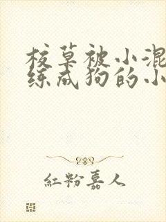 校草被小混混训练成狗的小说