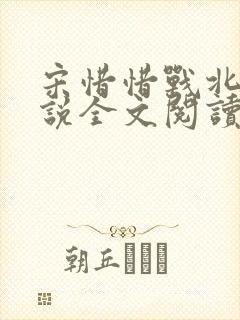 宋惜惜战北望小说全文阅读