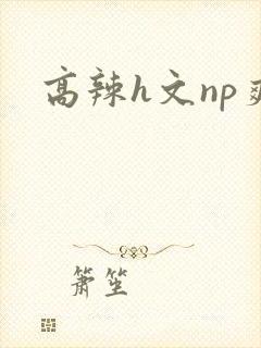 高辣h文np爽