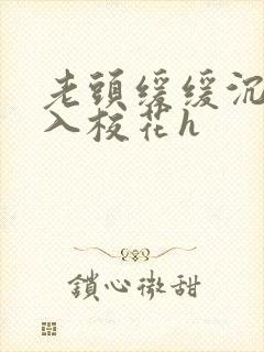 老头缓缓沉腰进入校花h