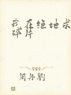 我在绝地求生捡碎片封面