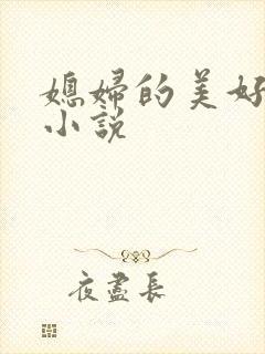 媳妇的美好时代小说封面