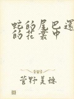 蛇的尾巴还在我的花丛中