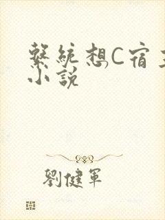 系统想C宿主的小说