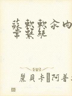 苏软软汆肉的日常系统