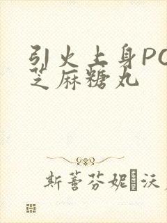 引火上身POP芝麻糖丸