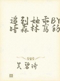 追到她乖BY黑暗森林写的小说