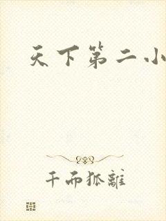 天下第二小说
