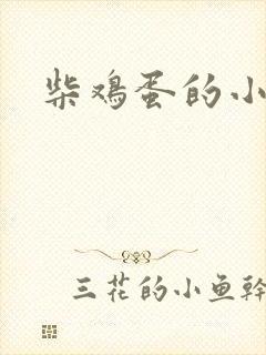 柴鸡蛋的小说