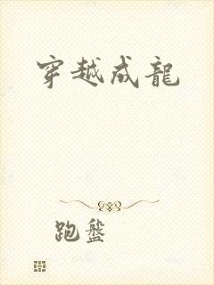 穿越成龙
