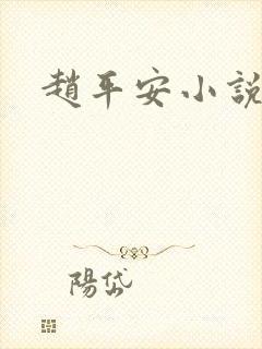 赵平安小说主角